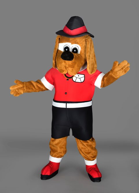 Dog with hat