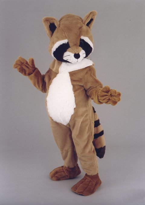Raccoon