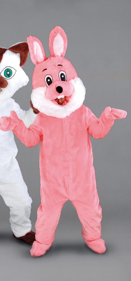 Pink rabbit