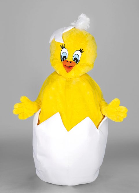Chick in egg