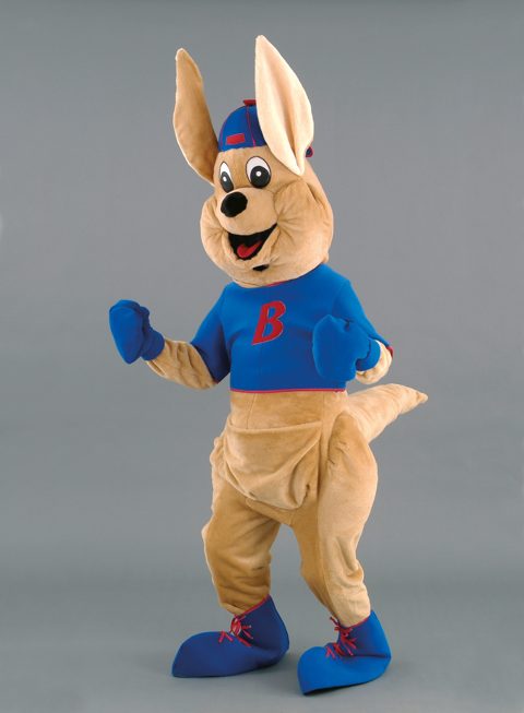 Kangaroo with jumper and hat
