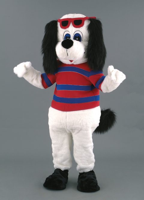 Dog with jumper and sunglasses