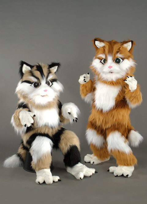 Long-haired cat