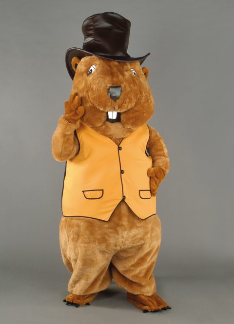 Beaver