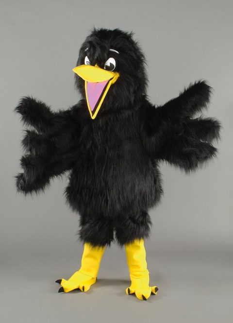Raven
