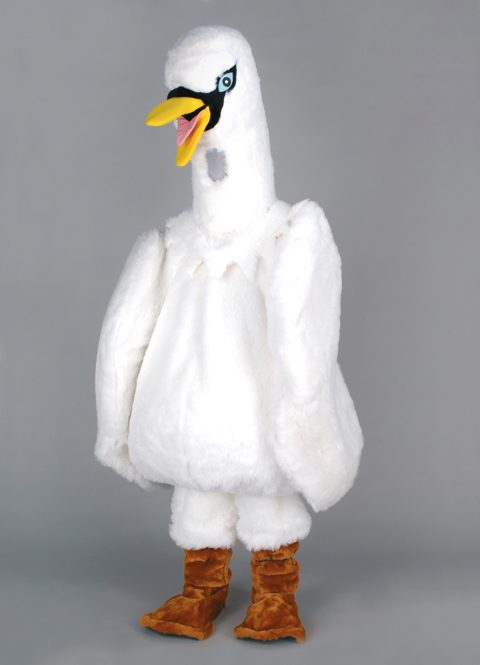 Swan