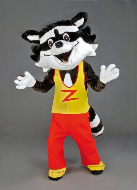 Raccoon