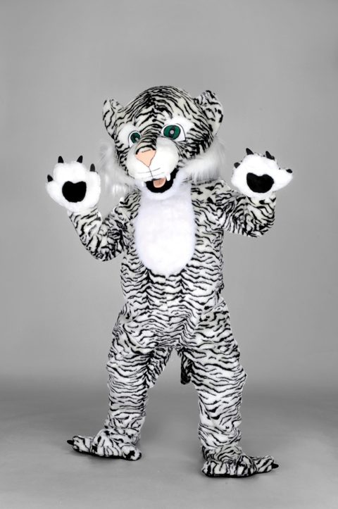 Snow leopard