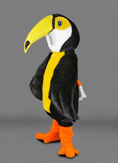 Toucan