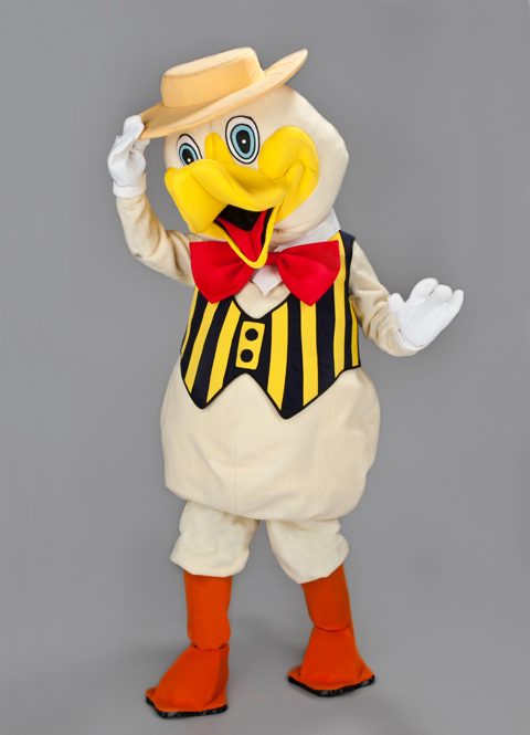 Duck