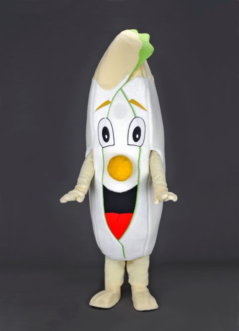 Endive