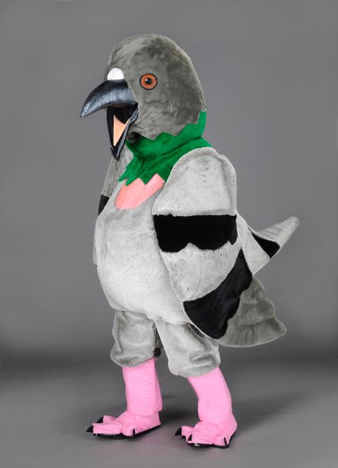 Dove