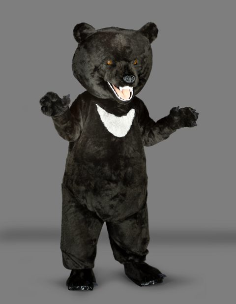 Bear with white chest