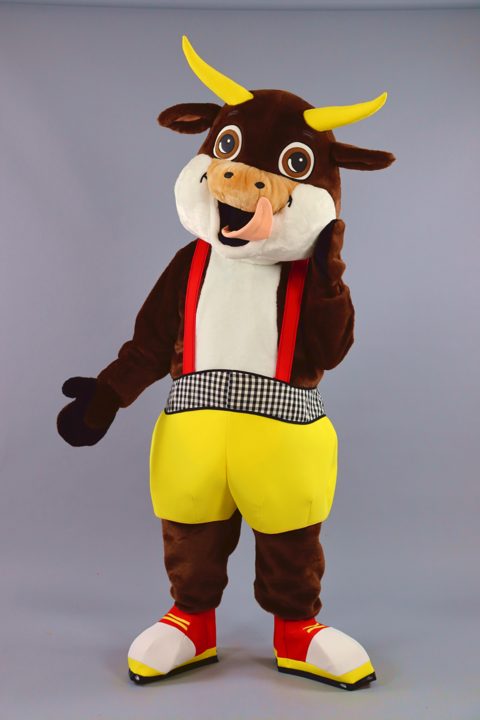 Cow in shorts