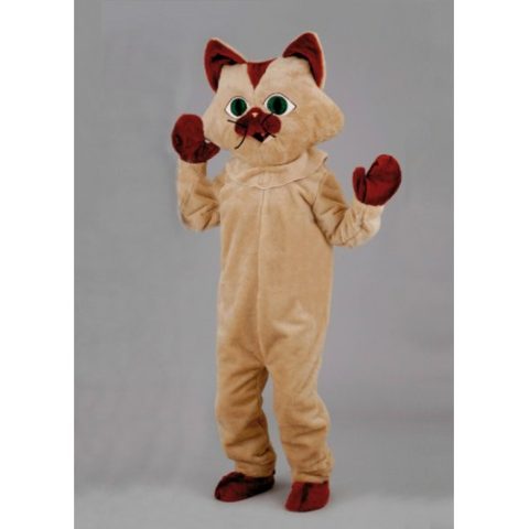 Brown cat